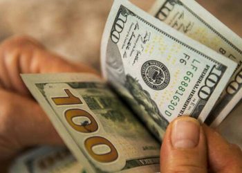 خبير اقتصادي يحذر من وصول الدولار إلى 24 ليرة تركية