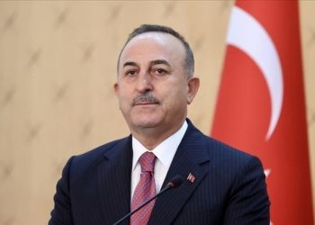 تشاووش أوغلو يرغب أن تتطوّر علاقات بلاده مع مصر كما تطوّرت مع الإمارات والسعودية.