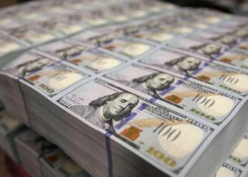 مصرفي: البنك المركزي التركي باع مليار دولار بعد خفض سعر الفائدة!