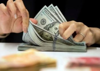 اقتصادي تركي: الدولار سيتجاوز 20 ليرة الشهر القادم