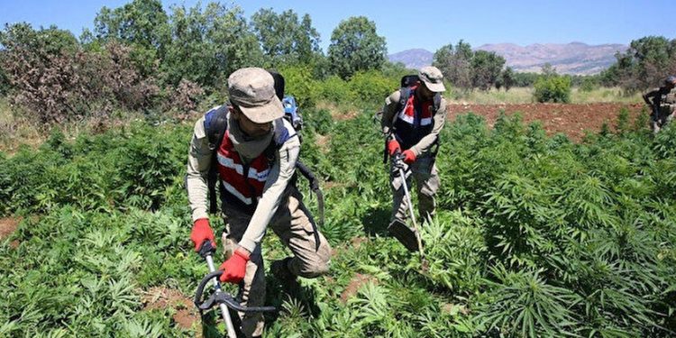 تركيا.. مصادرة كميات ضخمة من المخدرات في ولاية دياربكر