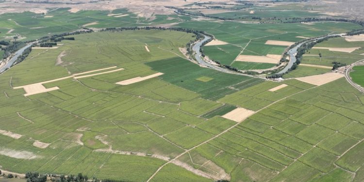 تركيا.. رهن 1.3 مليون قطعة أرض بسبب ديون المزارعين!