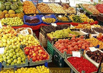 انخفاض حصة الزراعة في دخل تركيا القومي