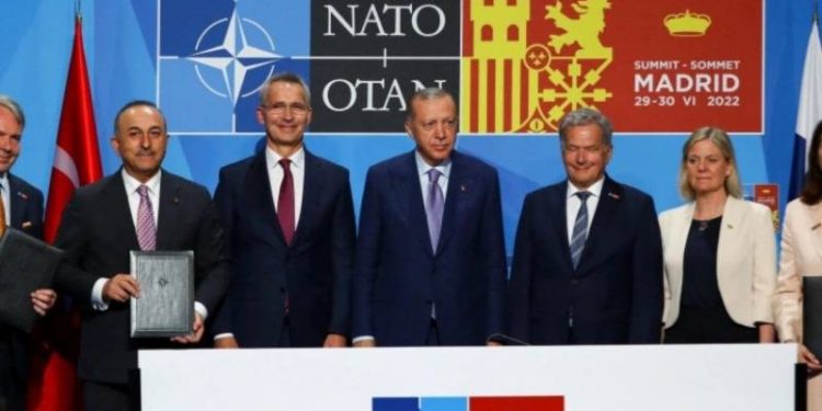 مسؤول سابق في الناتو: أردوغان يعلم أنه لا يستطيع وقف توسع الحلف