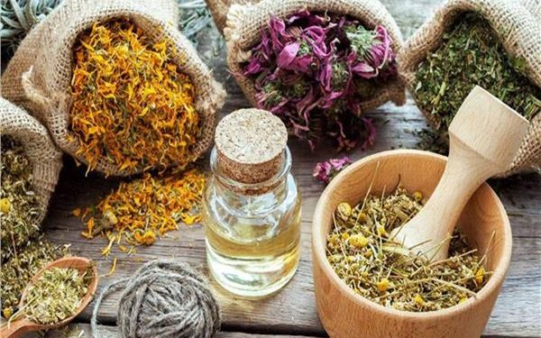 نباتات عشبية تمنحنا الراحة النفسية 