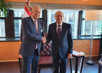 أبو الغيط يؤكد دعم الجامعة العربية للحكومة الشرعية ويدعو لاستمرار الهدنة