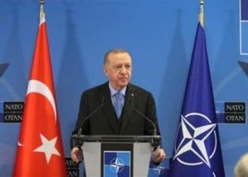 السفير الأمريكي في فنلندا: “أردوغان لا يريد أن يبقى وحيدًا”