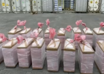 ضبط كميات من الكوكاكيين في حاوية متجهة إلى تركيا