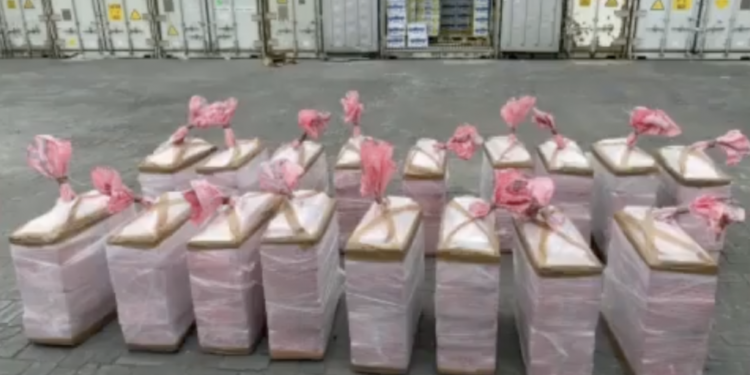 ضبط كميات من الكوكاكيين في حاوية متجهة إلى تركيا