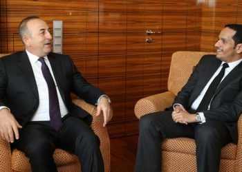 توافق تركي قطري في وجهات النظر حول قضايا المنطقة