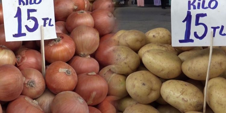 أسعار البطاطس والبصل في أدرنة تسجل ارتفاعًا ملحوظًا