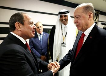 أردوغان ينتظر لقاءً رفيع المستوى مع القيادة المصرية