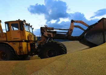 أردوغان يعلن رسميًّا تمديد صفقة الحبوب لمدة 120 يوما