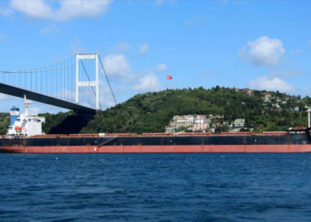 تركيا تحذر من توقف سفن الحبوب في مضيق البوسفور