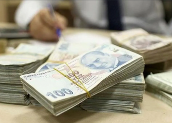 تركيا.. تراجع حجم ودائع الليرة المؤمنة ضد تقلبات سعر الصرف