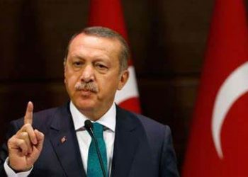 أردوغان: سننشئُ سياجًا أمنيًّا على طول الحدود الجنوبية لبلادنا