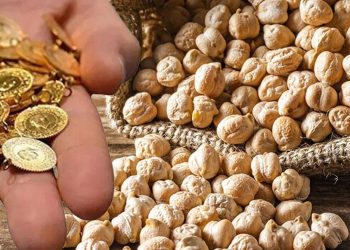 ارتفاع أسعار الحمص في تركيا بنسبة 352%