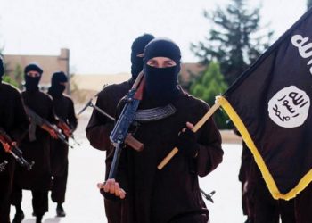 16 من مقاتلي داعش يحصلون على الجنسية التركية!