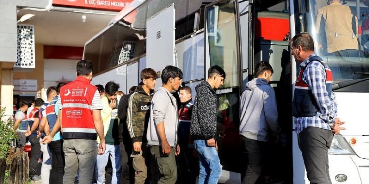 تركيا تعلن عدد المهاجرين واللاجئين المرحلين في 2022