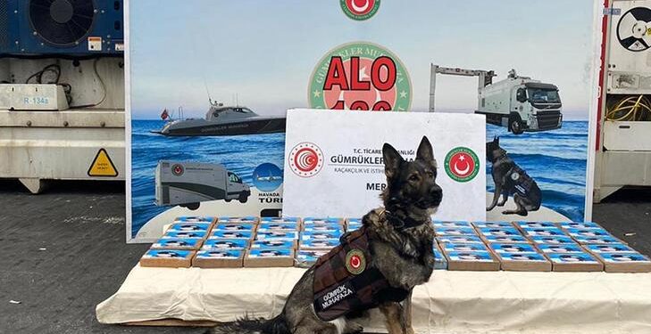 ضبط 56 كجم كوكايين في ميناء مرسين