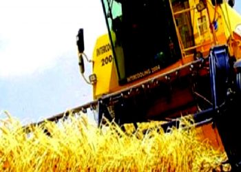 تركيا.. تضخم المنتجات الزراعية يسجل 150%