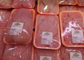 ارتفاع إنتاج لحوم الدجاج في تركيا بنسبة 7.7%