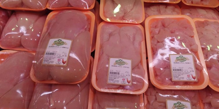 ارتفاع إنتاج لحوم الدجاج في تركيا بنسبة 7.7%