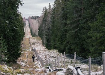 فنلندا تبدأ ببناء سياج على الحدود الروسية