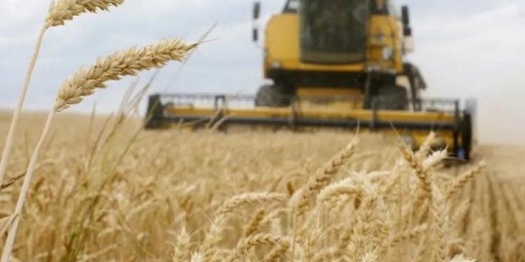 وزارة الدفاع التركية تنشر حصيلة “صفقة الحبوب”