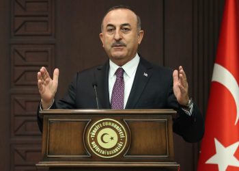 زيارة مرتقبة من وزير الخارجية التركي لـ”مصر”