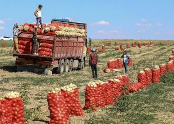 20% من الإنتاج الزراعي في تركيا تضرر بسبب الزلازل