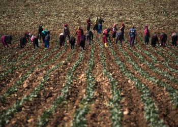 مزارعون سوريون يجبرون الجنود الأتراك على مغادرة الأراضي السورية