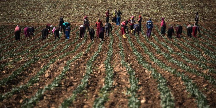 مزارعون سوريون يجبرون الجنود الأتراك على مغادرة الأراضي السورية