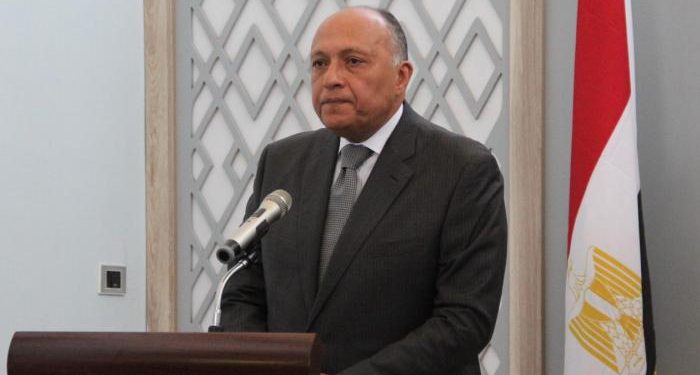 عاجل.. وزير الخارجية المصري يزور تركيا