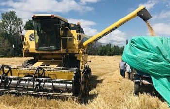 مؤشر خطر لانخفاض هطول الأمطار في تركيا