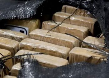 هولندا تضبط طن كوكايين قادمًا من تركيا