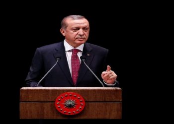 أردوغان: أثبتنا أن مزاعم الديكتاتورية محض هراء