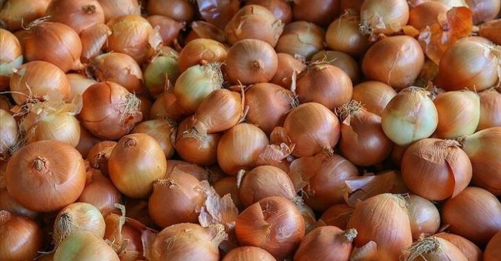 تركيا.. أسعار البصل في تركيا تتفوق على الدولار
