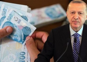 أردوغان يرفع رواتب القطاع العام 45٪ وموظفو الحكومة يحتجون