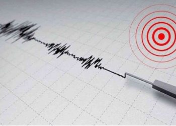 هزتان أرضيتان جديدتان في سواحل تركيا