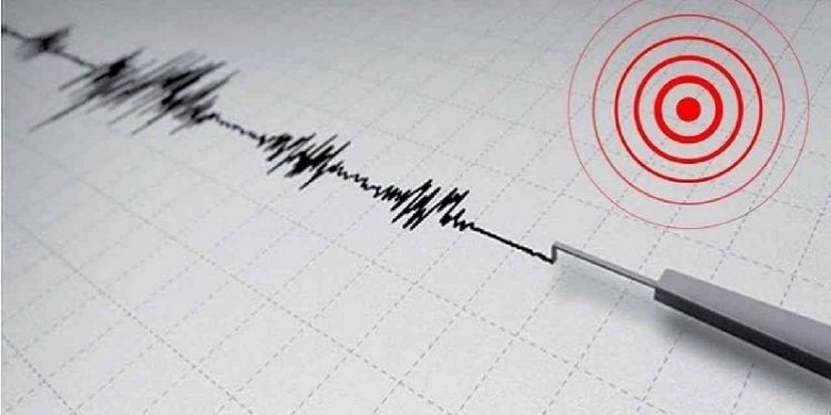هزتان أرضيتان جديدتان في سواحل تركيا