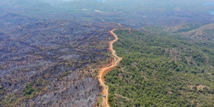 تركيا.. حريق هائل في غابة للتخلص من جثة أجنبي