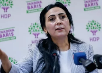 التصديق على حكم الحبس بحق رئيسة الحزب الكردي