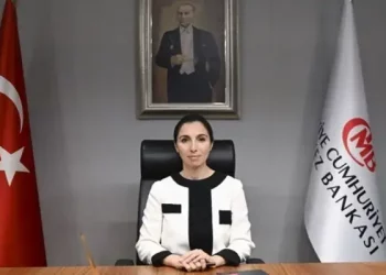 قبل اجتماع لجنة الفائدة.. رئيسة المركزي التركي تلتقي مسؤولي بنوك أجنبية