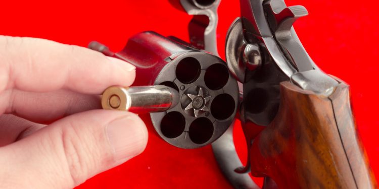 دولت بهجلي: محاولة التمرّد في روسيا تشبه لعبة الروليت الروسية