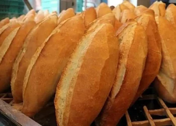 مخاوف من ارتفاع سعر الخبز في تركيا