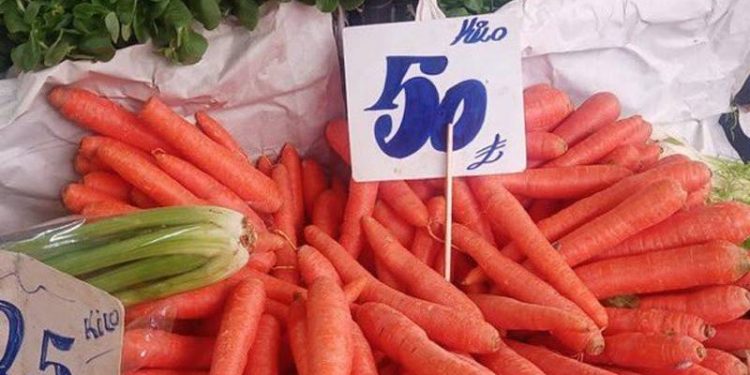 كيلو الجزر في تركيا يصل إلى 50 ليرة