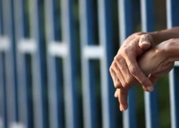 تركيا.. تعديلات قانونية لخفض عقوبة عناصر المافيا بالسجون