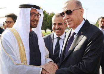 الإمارات تستثمر 29 مليار دولار في الطاقة في تركيا