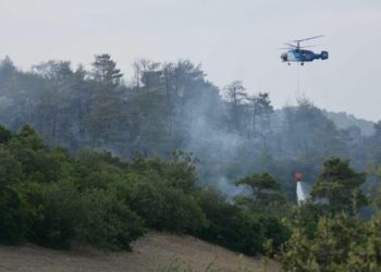 تضرر 170 هكتارًا من الغابات في كوتاهية بسبب الحرائق